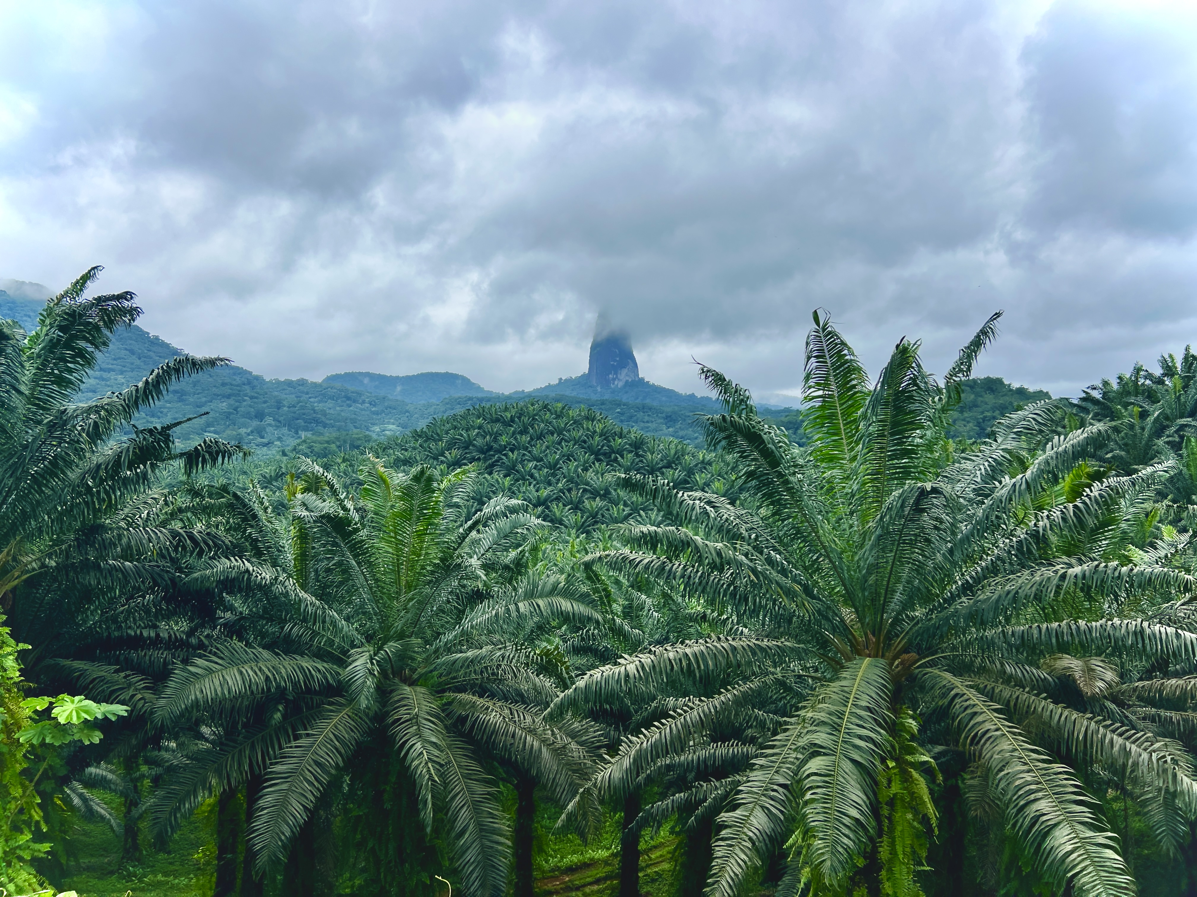 São Tomé e Príncipe